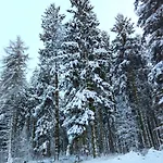 Apartment Gästewohnung Urfttalsperre Schleiden