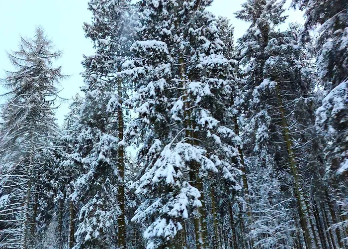 Apartment Gästewohnung Urfttalsperre Schleiden